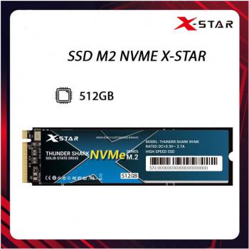  SSD XSTAR 256GB (NVMe M.2 2280/ PCIe Gen3 X4)