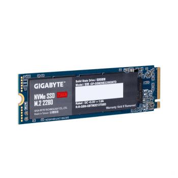 SSD GIGA M2 NVME 256GB  Gen 3 x 4 (Tốc độ đọc:2500 MB/s Tốc độ ghi:1100 MB/s) 
